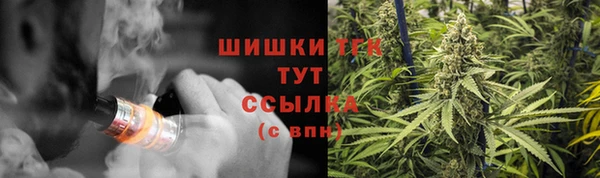 каннабис Новозыбков