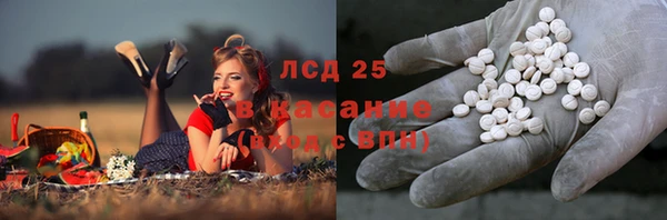гидропоника Новокубанск