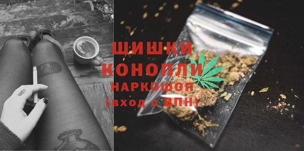 каннабис Новозыбков