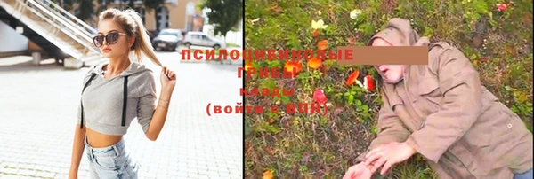 каннабис Новодвинск